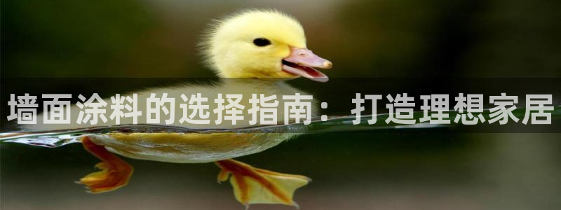 和记官网 公司：墙面涂料的选择指南：打造理想家居