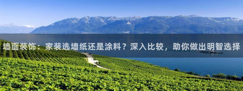 和记官网登陆：墙面装饰：家装选墙纸还是涂料？深入比较，助你做出明智选择