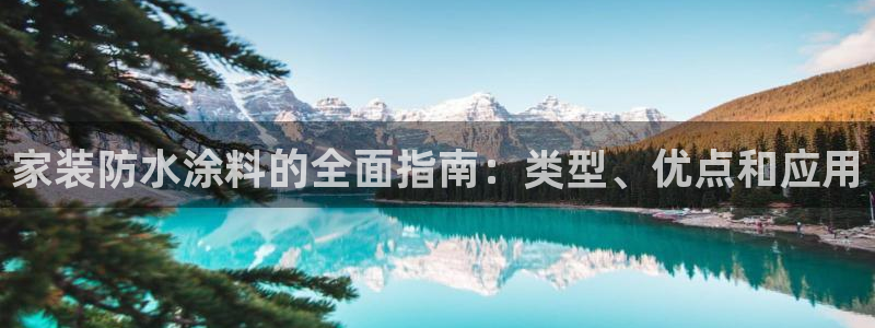官方和记国际平台登录：家装防水涂料的全面指南：类型、优点和应用