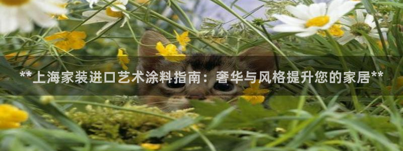 和记AG网站