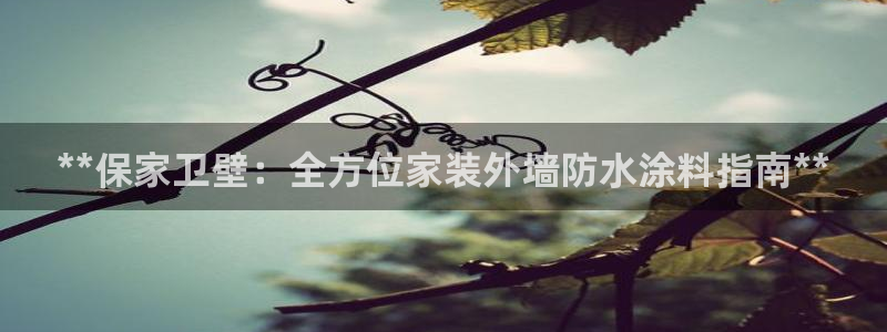 和记ag旗舰厅app：**保家卫壁：全方位家装外墙防水涂料指南**