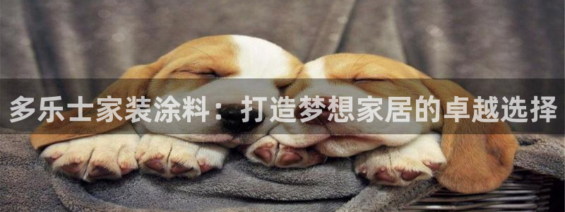 和记官方网址：多乐士家装涂料：打造梦想家居的卓越选择
