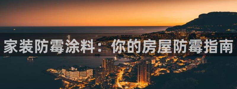 和记国际听