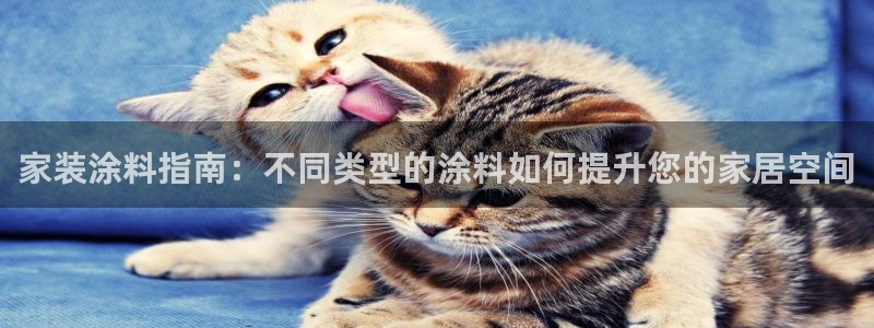 和记ag旗舰：家装涂料指南：不同类型的涂料如何提升您的家居空间