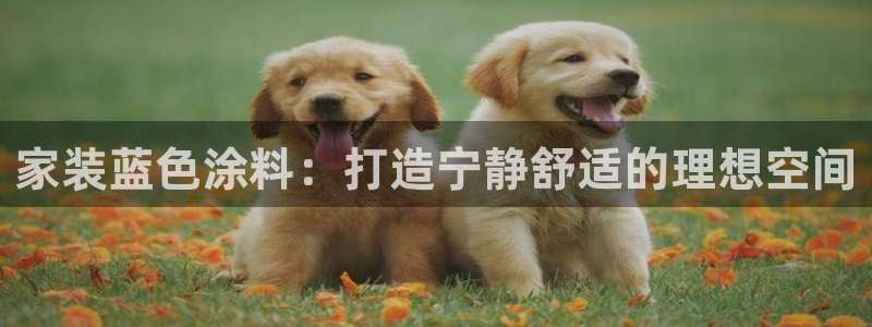 和记官方网站：家装蓝色涂料：打造宁静舒适的理想空间