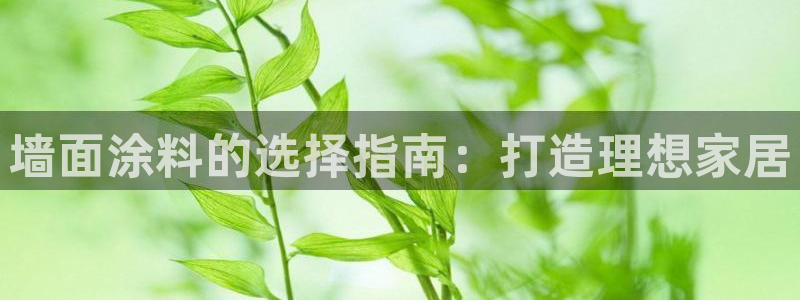 和记官方直营注册导航：墙面涂料的选择指南：打造理想家居