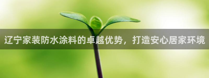 和记ag网址：辽宁家装防水涂料的卓越优势，打造安心居家环境
