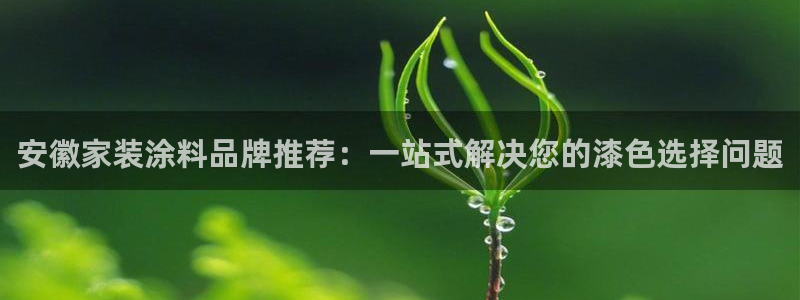 江苏和记餐饮有限公司：安徽家装涂料品牌推荐：一站式解决您的漆色选择问题