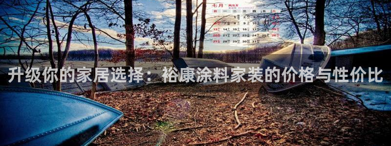 和记注册有什么送的：升级你的家居选择：裕康涂料家装的价格与性价比