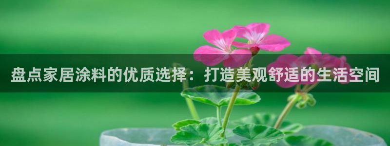 上海和记餐饮：盘点家居涂料的优质选择：打造美观舒适的生活空间