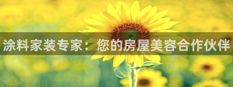 和记平台官方网：涂料家装专家：您的房屋美容合作伙伴
