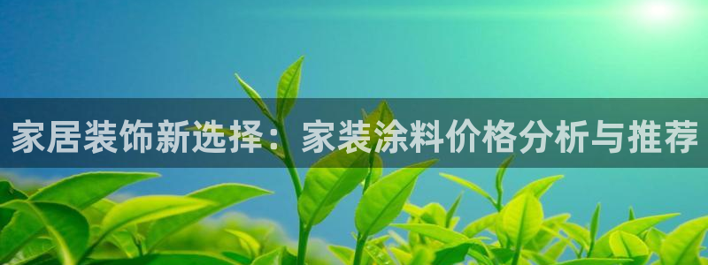 和记登陆：家居装饰新选择：家装涂料价格分析与推荐