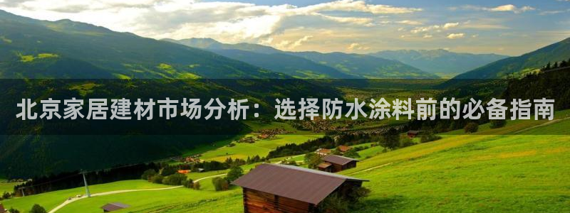 和记paging：北京家居建材市场分析：选择防水涂料前的必备指南