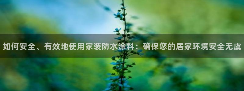 下载和记app：如何安全、有效地使用家装防水涂料：确保您的居家环境安全无虞