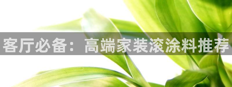 和记官网：客厅必备：高端家装滚涂料推荐