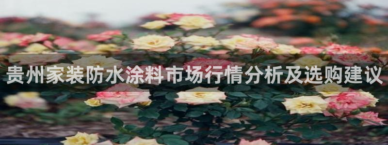 和记港口：贵州家装防水涂料市场行情分析及选购建议