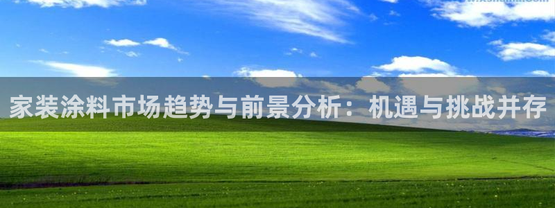 和记 首页：家装涂料市场趋势与前景分析：机遇与挑战并存