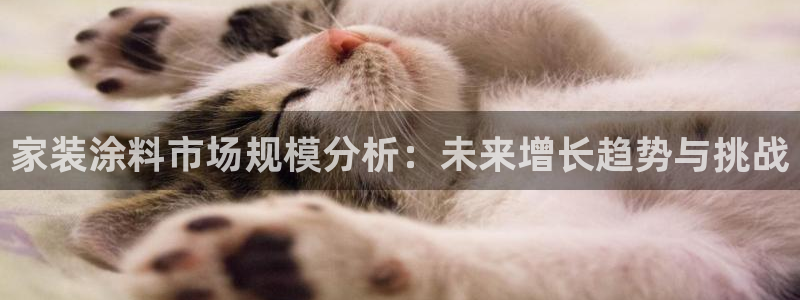 和记国际：家装涂料市场规模分析：未来增长趋势与挑战