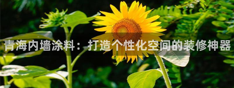 和记h188：青海内墙涂料：打造个性化空间的装修神器