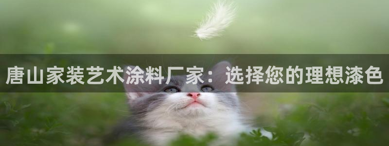 和记娱好网址：唐山家装艺术涂料厂家：选择您的理想漆色