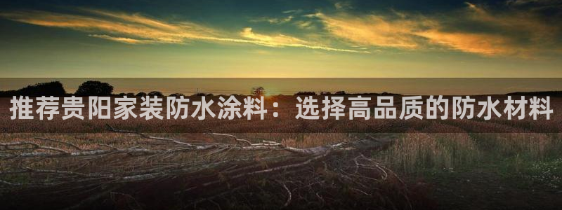 和记(福建)商贸有限公司招聘：推荐贵阳家装防水涂料：选择高品