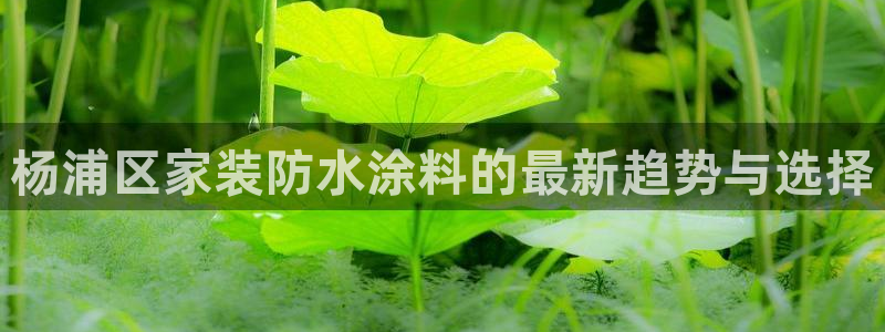 和记app官网：杨浦区家装防水涂料的最新趋势与选择