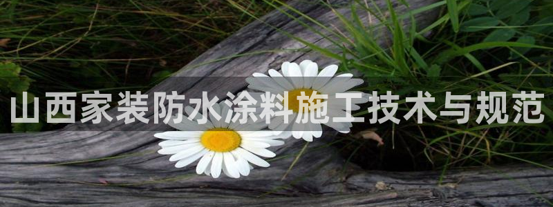 和记国际官网官网：山西家装防水涂料施工技术与规范