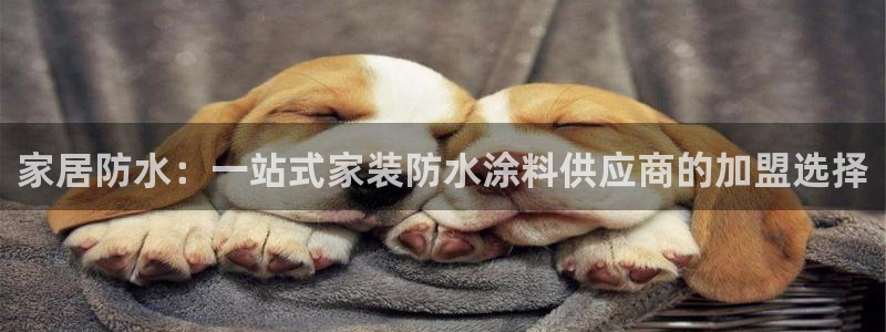 和记平台官网：家居防水：一站式家装防水涂料供应商的加盟选择