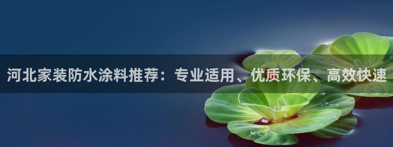 和记国际官网官网：河北家装防水涂料推荐：专业适用、优质环保、