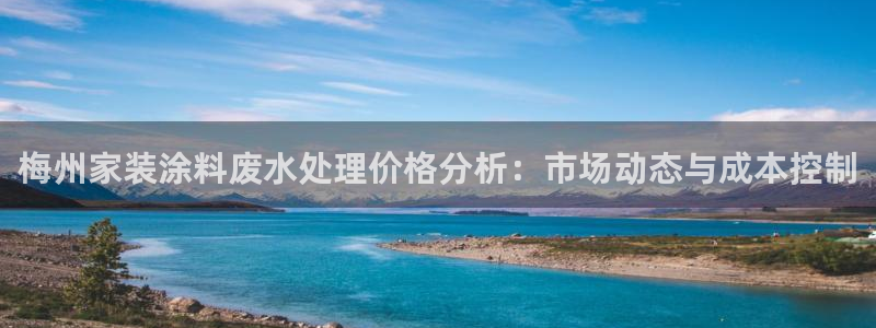 和记平台登录：梅州家装涂料废水处理价格分析：市场动态与成本控制