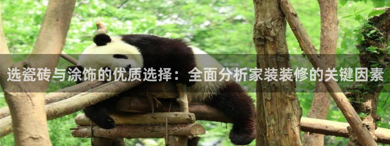 和记ag捕鱼害死多少人：选瓷砖与涂饰的优质选择：全面分析家装装修的关键因素