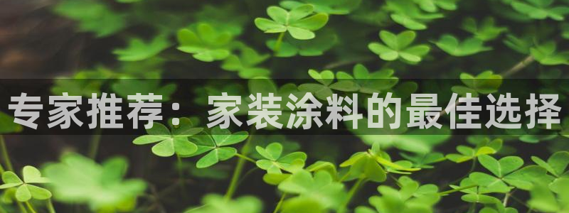 和记 首页：专家推荐：家装涂料的最佳选择