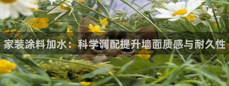 和记平台怎么样：家装涂料加水：科学调配提升墙面质感与耐久性