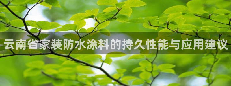 ag和记app：云南省家装防水涂料的持久性能与应用建议