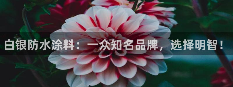 和记官方：白银防水涂料：一众知名品牌，选择明智！