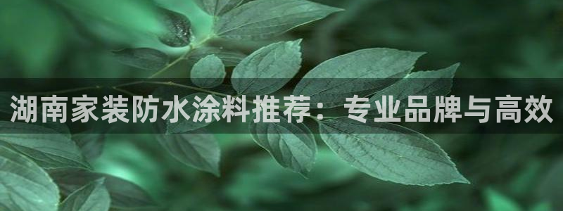 和记ag旗舰：湖南家装防水涂料推荐：专业品牌与高效