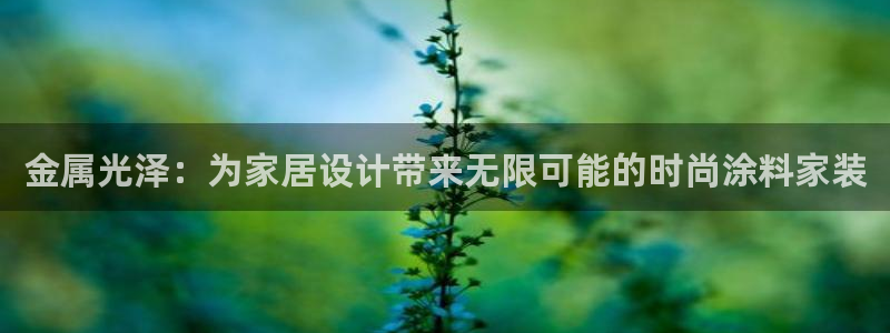 和记登陆：金属光泽：为家居设计带来无限可能的时尚涂料家装