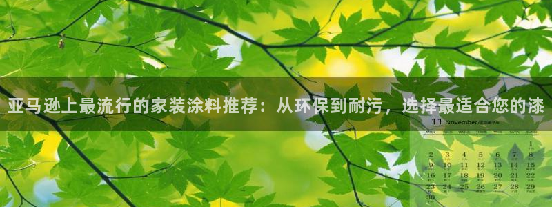 和记ag登录：亚马逊上最流行的家装涂料推荐：从环保到耐污，选
