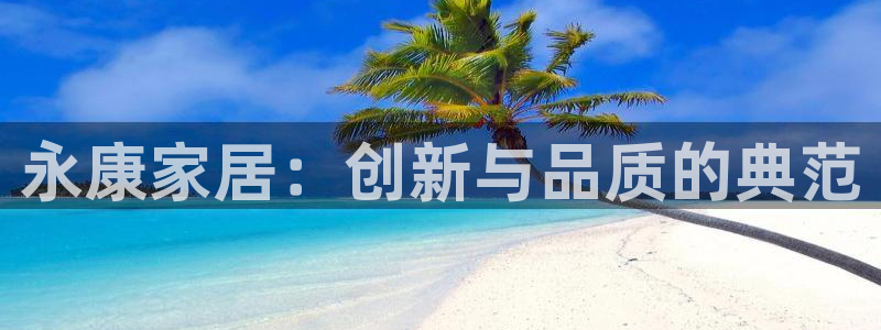 官方和记国际平台登录：永康家居：创新与品质的典范