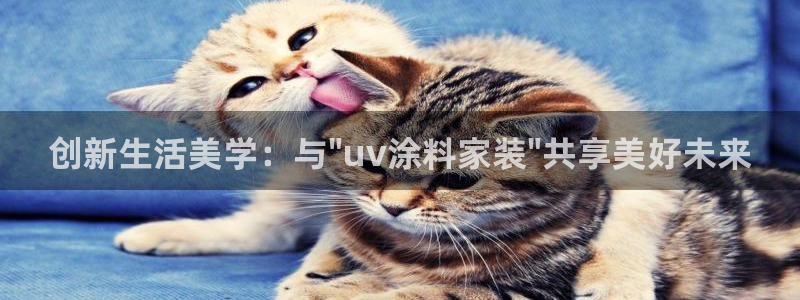 和记AG旗舰：创新生活美学：与\