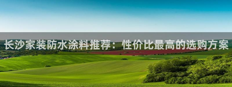 和记H88：长沙家装防水涂料推荐：性价比最高的选购方案