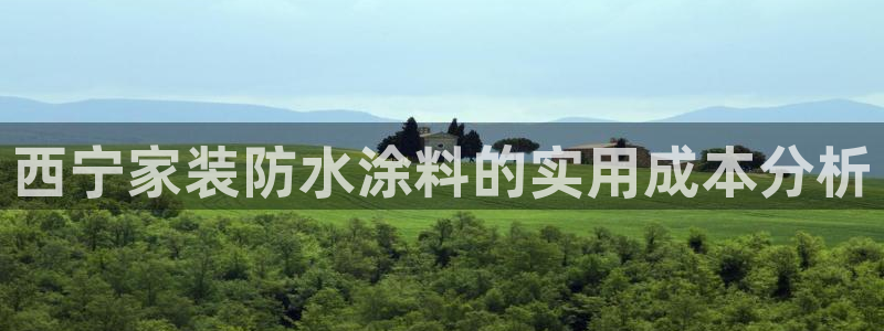 和记ag网页版：西宁家装防水涂料的实用成本分析