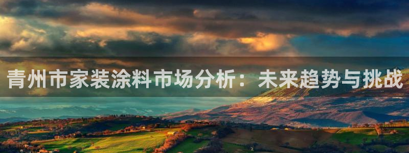 和记官方网站：青州市家装涂料市场分析：未来趋势与挑战