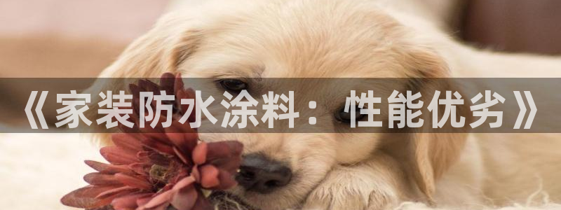 和记ag网页版：《家装防水涂料：性能优劣》