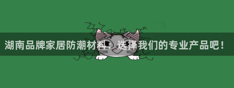 江苏和记数码科技有限公司：湖南品牌家居防潮材料：选择我们的专业产品吧！