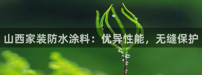 和记(福建)商贸有限公司：山西家装防水涂料：优异性能，无缝保护