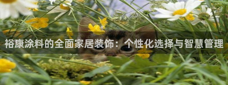 上海和记餐饮：裕康涂料的全面家居装饰：个性化选择与智慧管理
