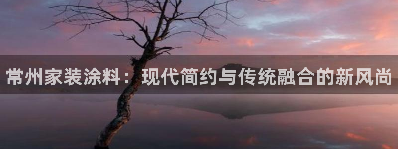 和记H88：常州家装涂料：现代简约与传统融合的新风尚