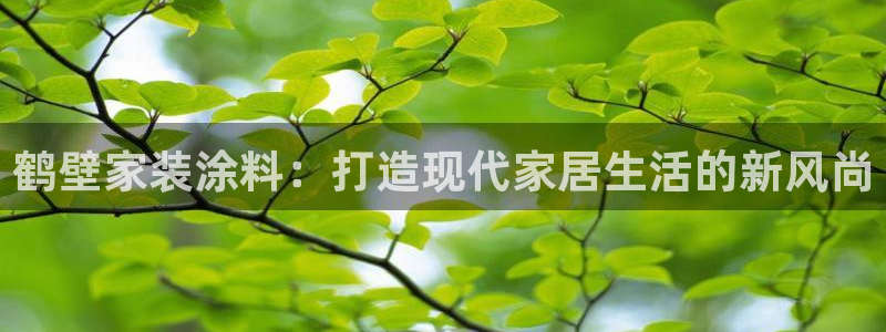 和记平台注册：鹤壁家装涂料：打造现代家居生活的新风尚