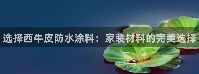 和记网页：选择西牛皮防水涂料：家装材料的完美选择